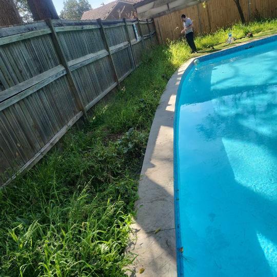 cleaning services - sydney1