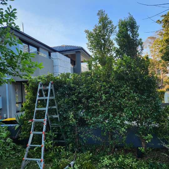 cleaning services - sydney10