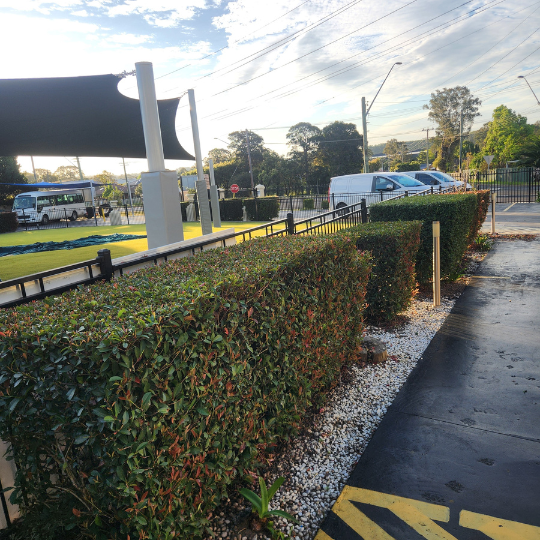 cleaning services - sydney11