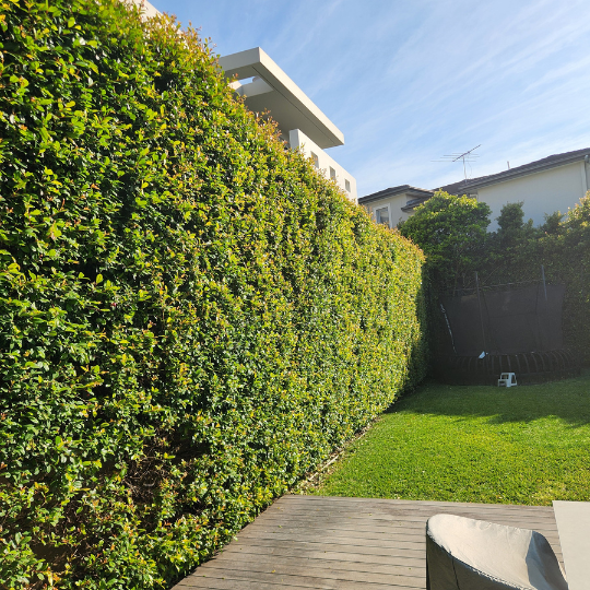 cleaning services - sydney12