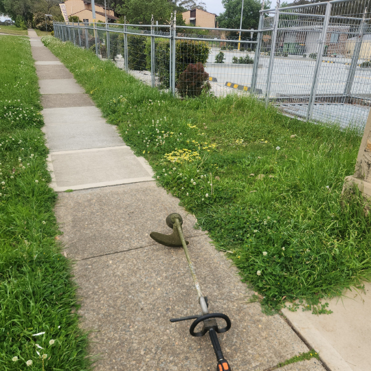 cleaning services - sydney13