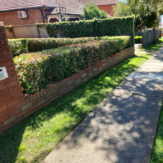 cleaning services - sydney3