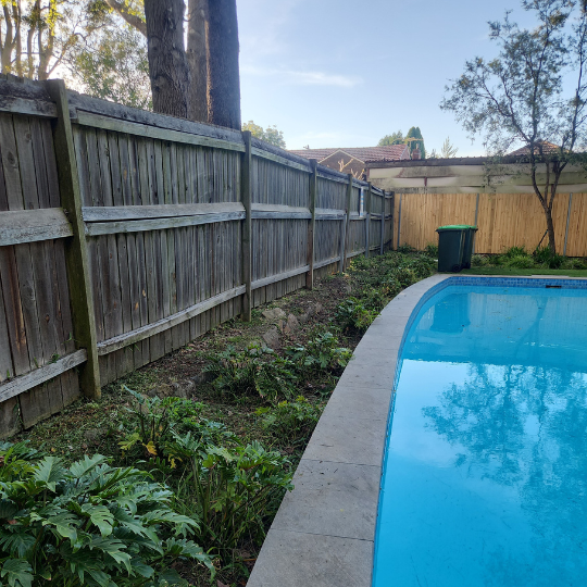 cleaning services - sydney6