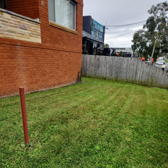 strata-gardening-sydney 16