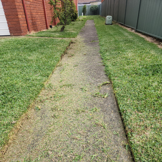 strata-gardening-sydney 17