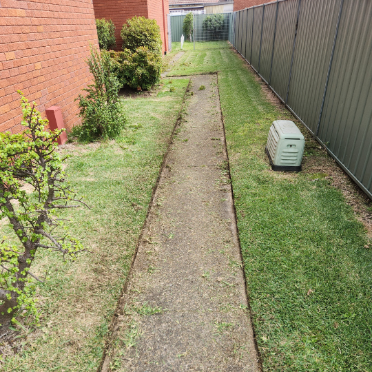 strata-gardening-sydney 18