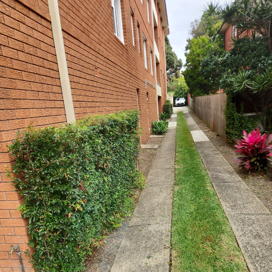 strata-gardening-sydney 19