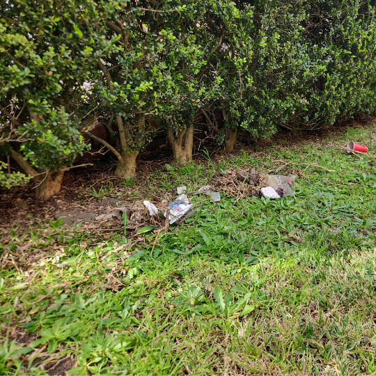 strata-gardening-sydney 5