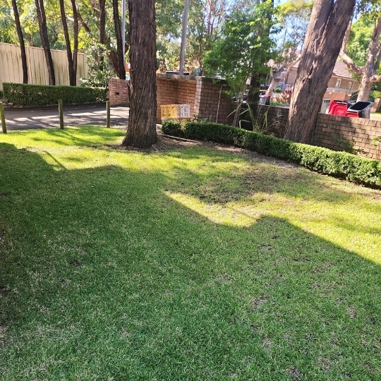 strata-gardening-sydney 6