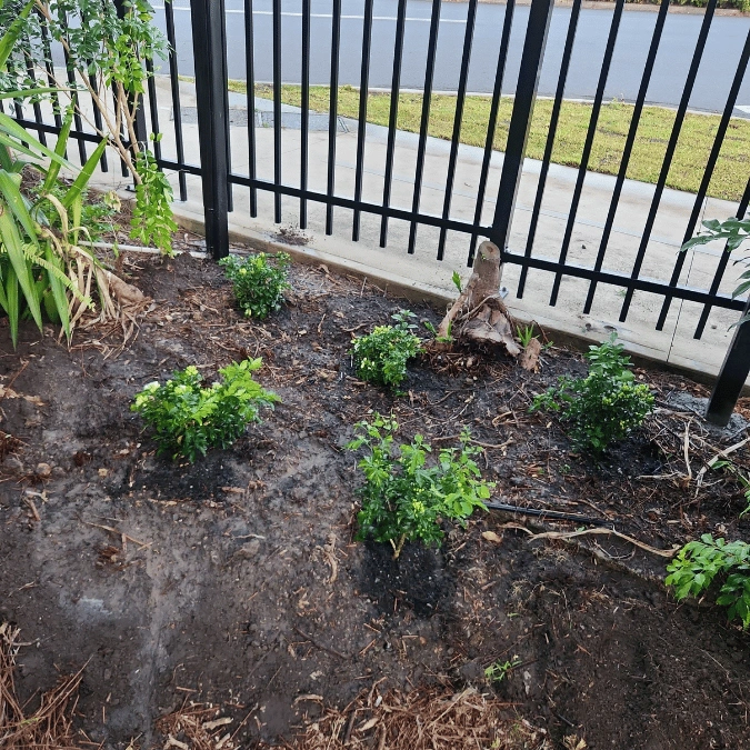 gardening experts in sydney2